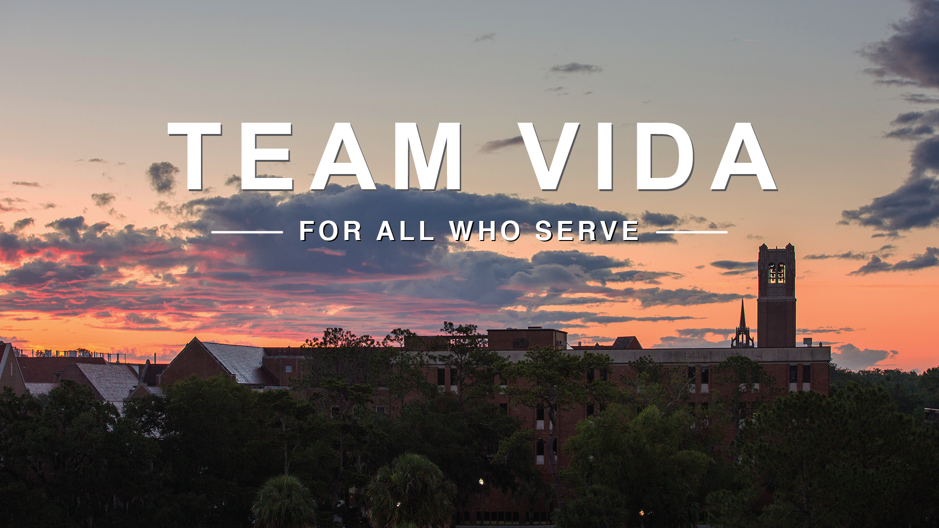 Team Vida